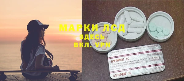 индика Алексин