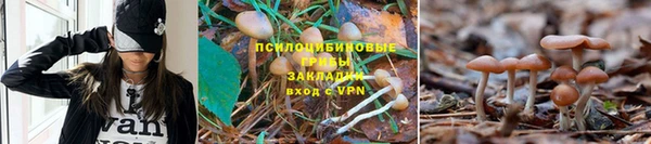 прущий лед Алзамай