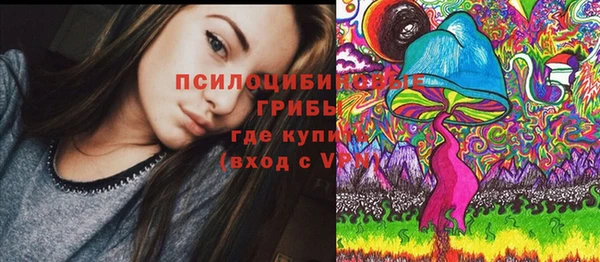 крисы Армянск