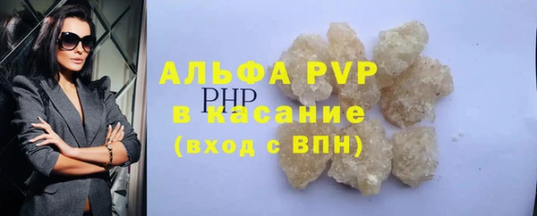 индика Алексин