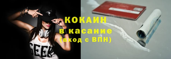 индика Алексин