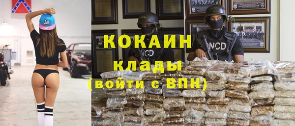 прущий лед Алзамай