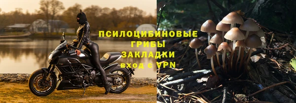 индика Алексин